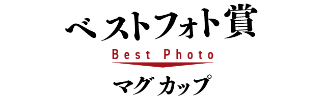 ベストフォト賞